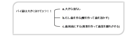 バイ菌は大きく分けて3つ!!