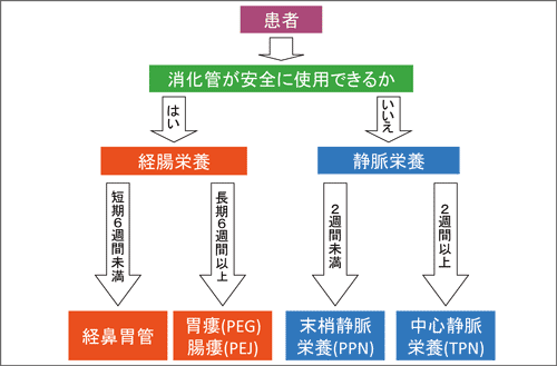 図１　栄養管理のルートの選択