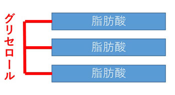 図１　栄養管理のルートの選択