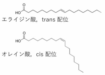 図２　18：1 脂肪酸の構造幾何異性体シスとトランス