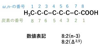 図３　脂肪酸の数値表現方法