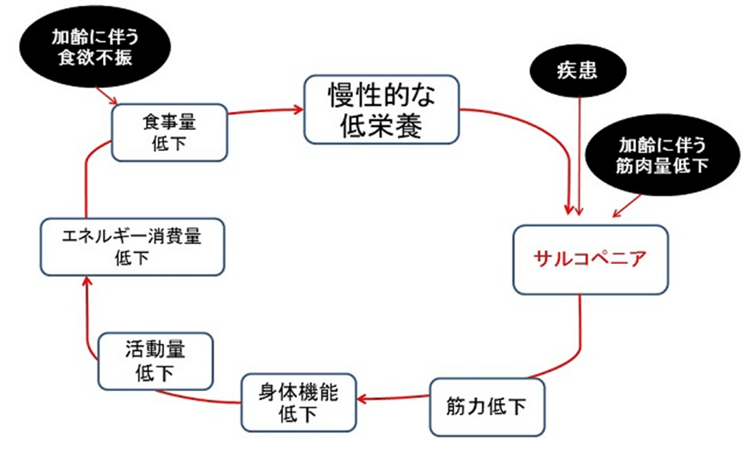 図６　フレイル・サイクル