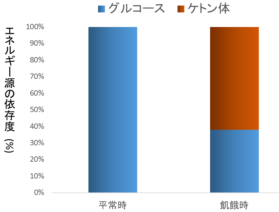 図１０　脳で利用されるエネルギー