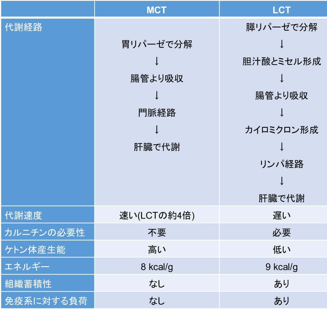 表１　MCTとLCTの生理学的特製の違い