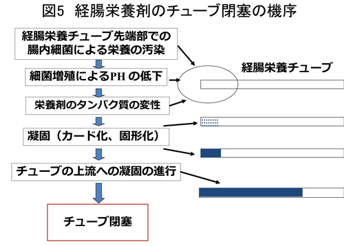 図５　経腸栄養剤のチューブ閉塞の機序