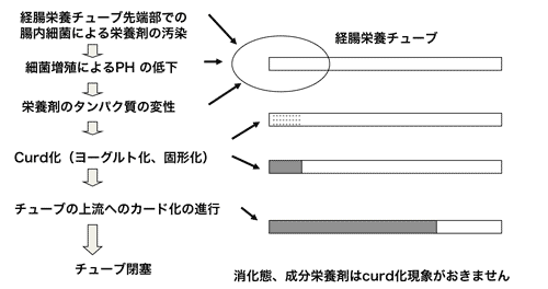 図１　経腸栄養剤のチューブ閉塞の機序2) 半消化態栄養剤