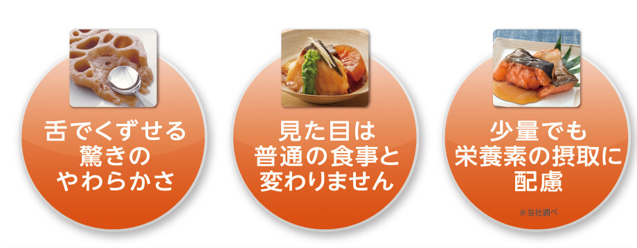 舌でくずせる驚きのやわらかさ・見た目は普通の食事と変わりません・少量でも栄養素の摂取に配慮