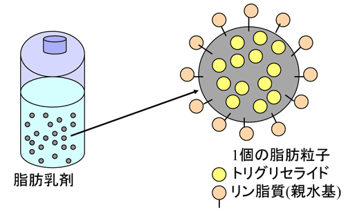 図１　脂肪乳剤の構造