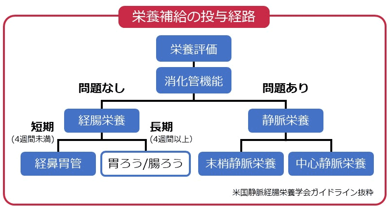 栄養補給の投与経路（米国静脈経腸栄養学会ガイドライン）