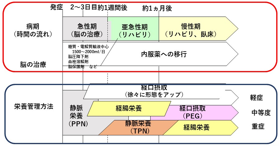 脳卒中の治療と栄養管理方法