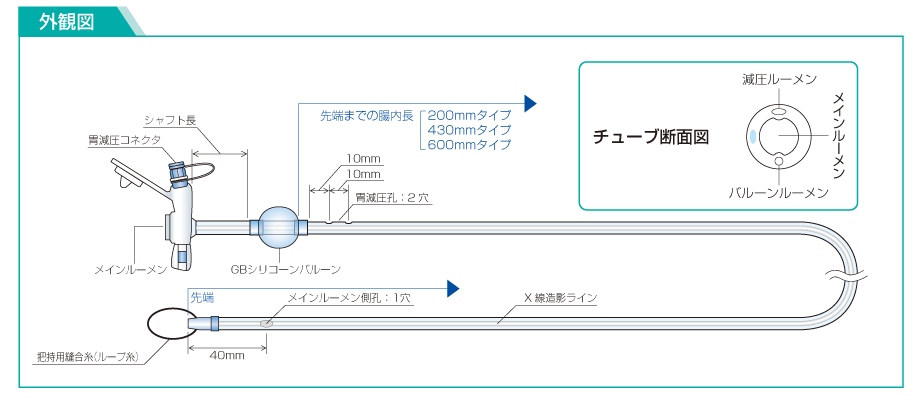 GBジェジュナルボタンの外観図