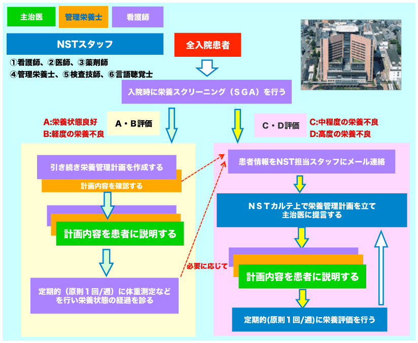 福井県立病院　NSTフローチャート