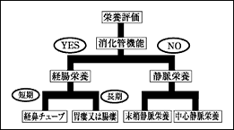 栄養補給の投与経路