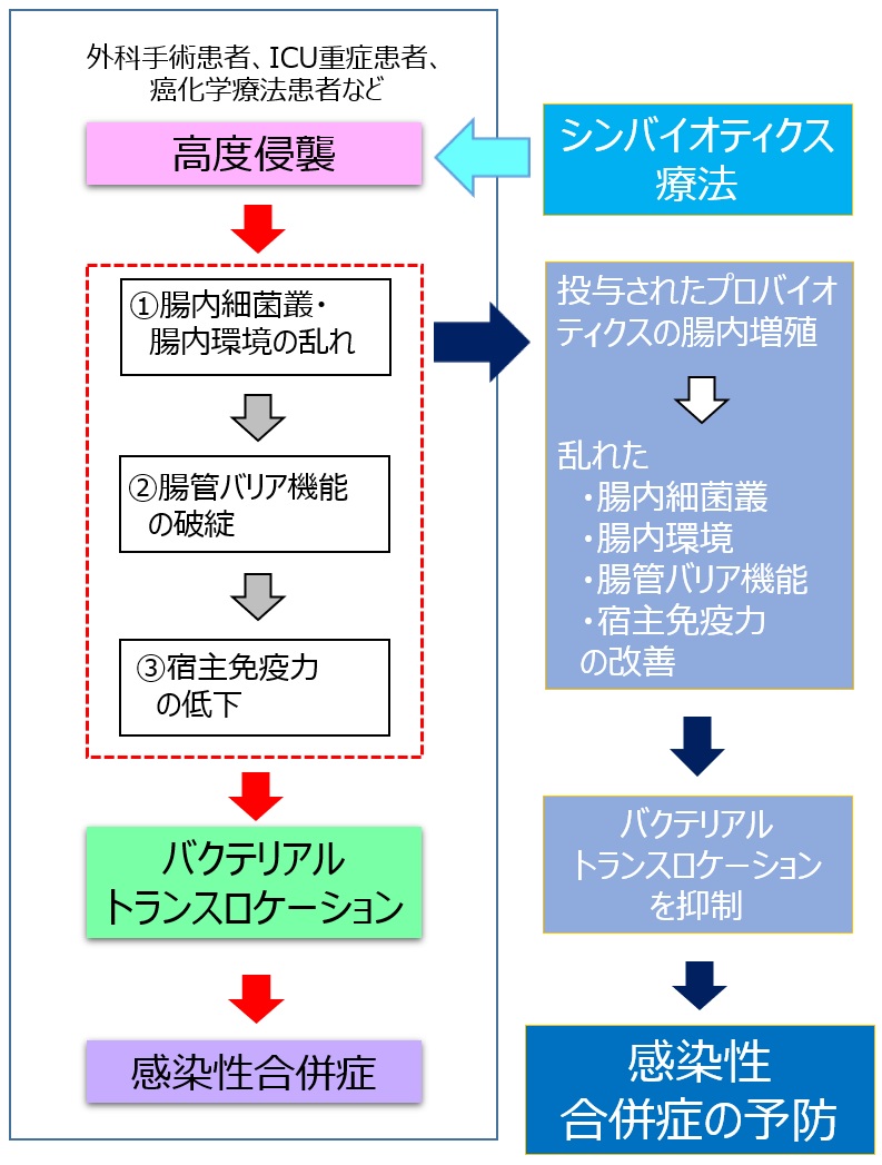 図2）高度侵襲時におけるシンバイオティクスの感染性合併症予防メカニズムの仮説